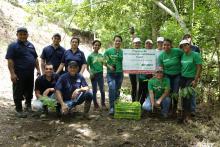 reforestación reforestación